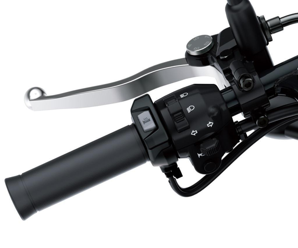 Sada vyhřívaných rukojetí (W800)