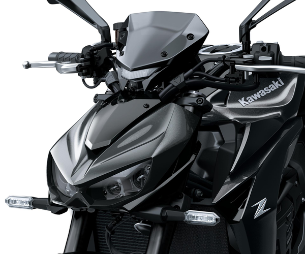 Smoke Meter Cover (Z1100/SE)