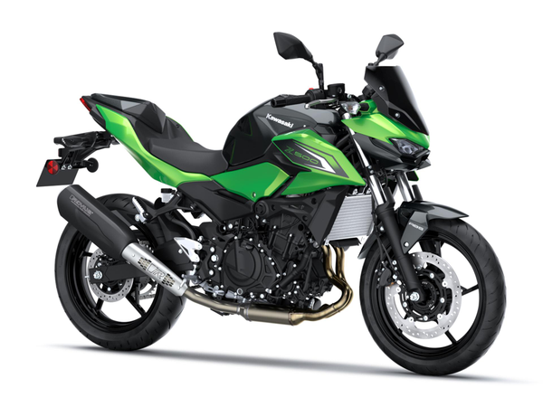 Z500 Performance Remus