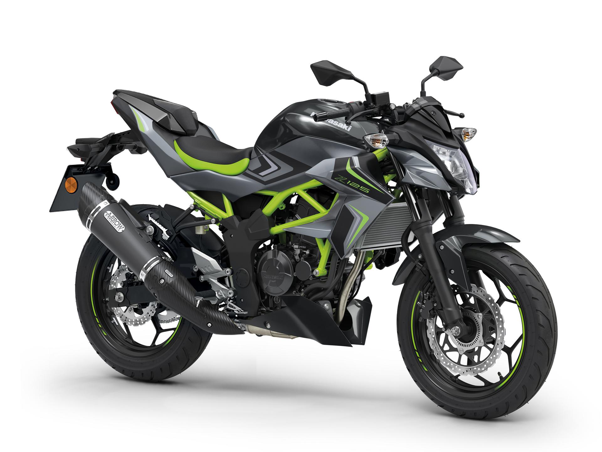 Pearl Storm Gray / Ebony